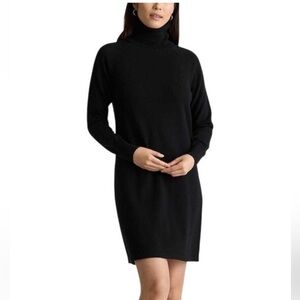 Quince Cashmere Turtleneck Dress